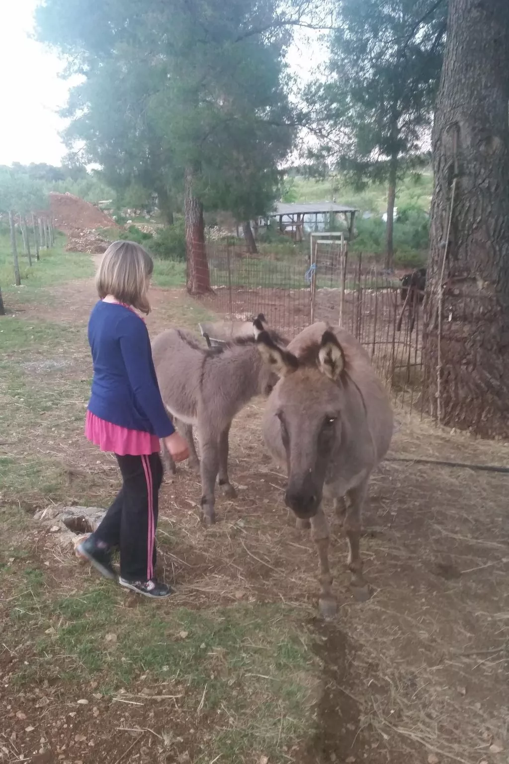 Charmantes Steinhaus mit Pool und Panoramablick-Image-tags.info