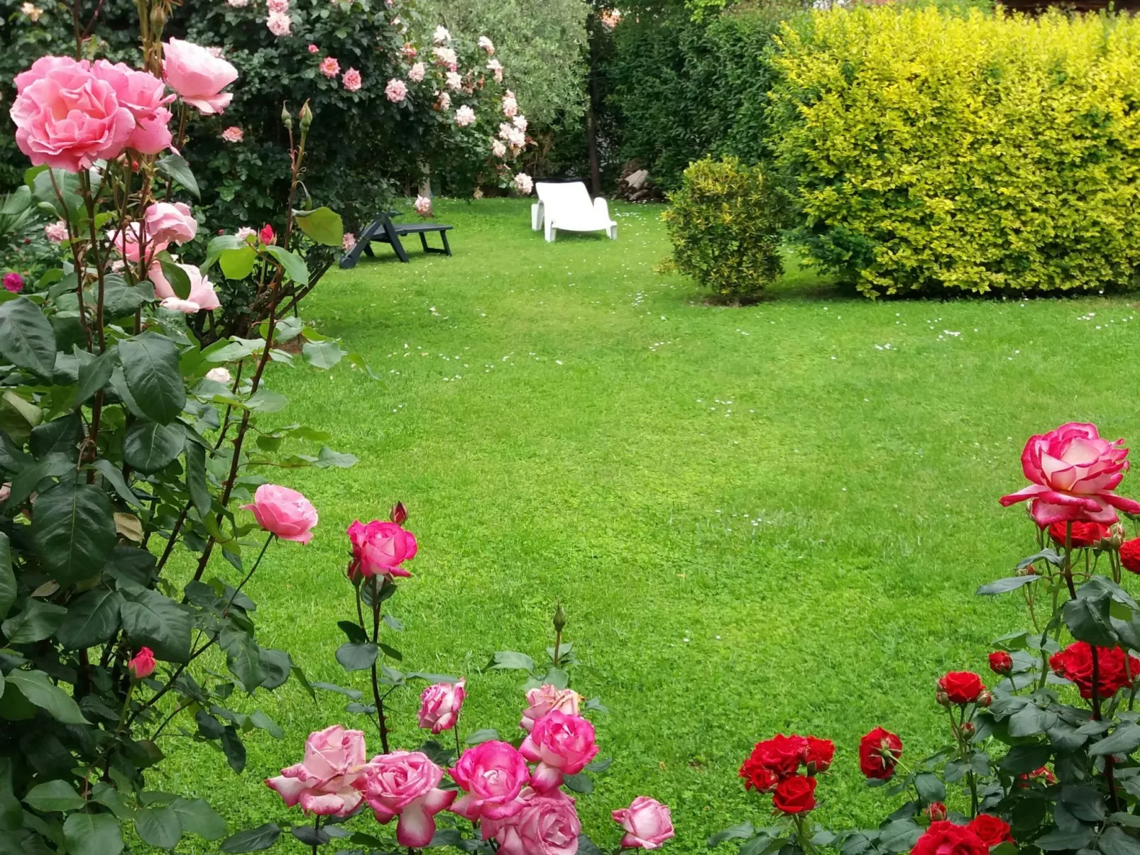 Freistehender Bungalow Perla mit Garten und Grill-Buiten