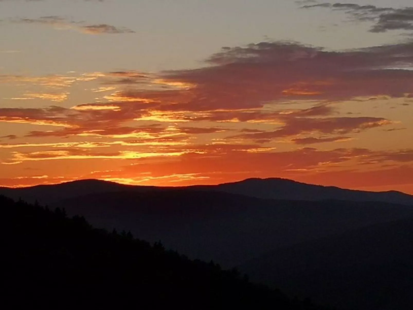 Bayerischer Wald auf 800m Höhe-Willkommen-Buiten