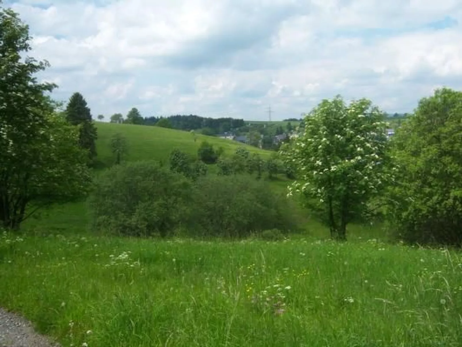 Im Thüringer Wald mit Grill und Garten-Buiten