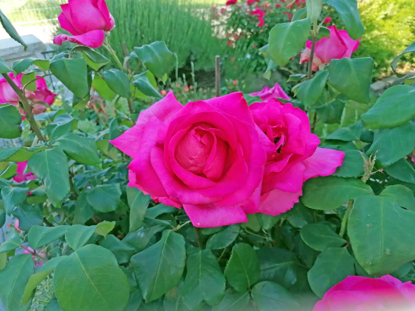 Ferien-Apartment-Buiten