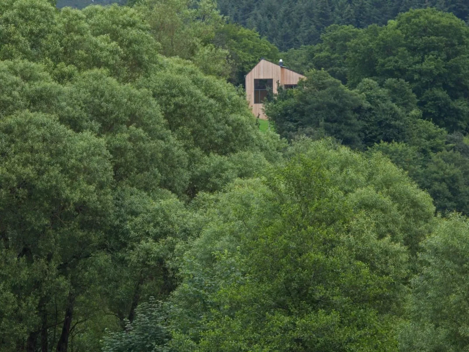 Moderner Holzhausneubau in der Eifel-Image-tags.info