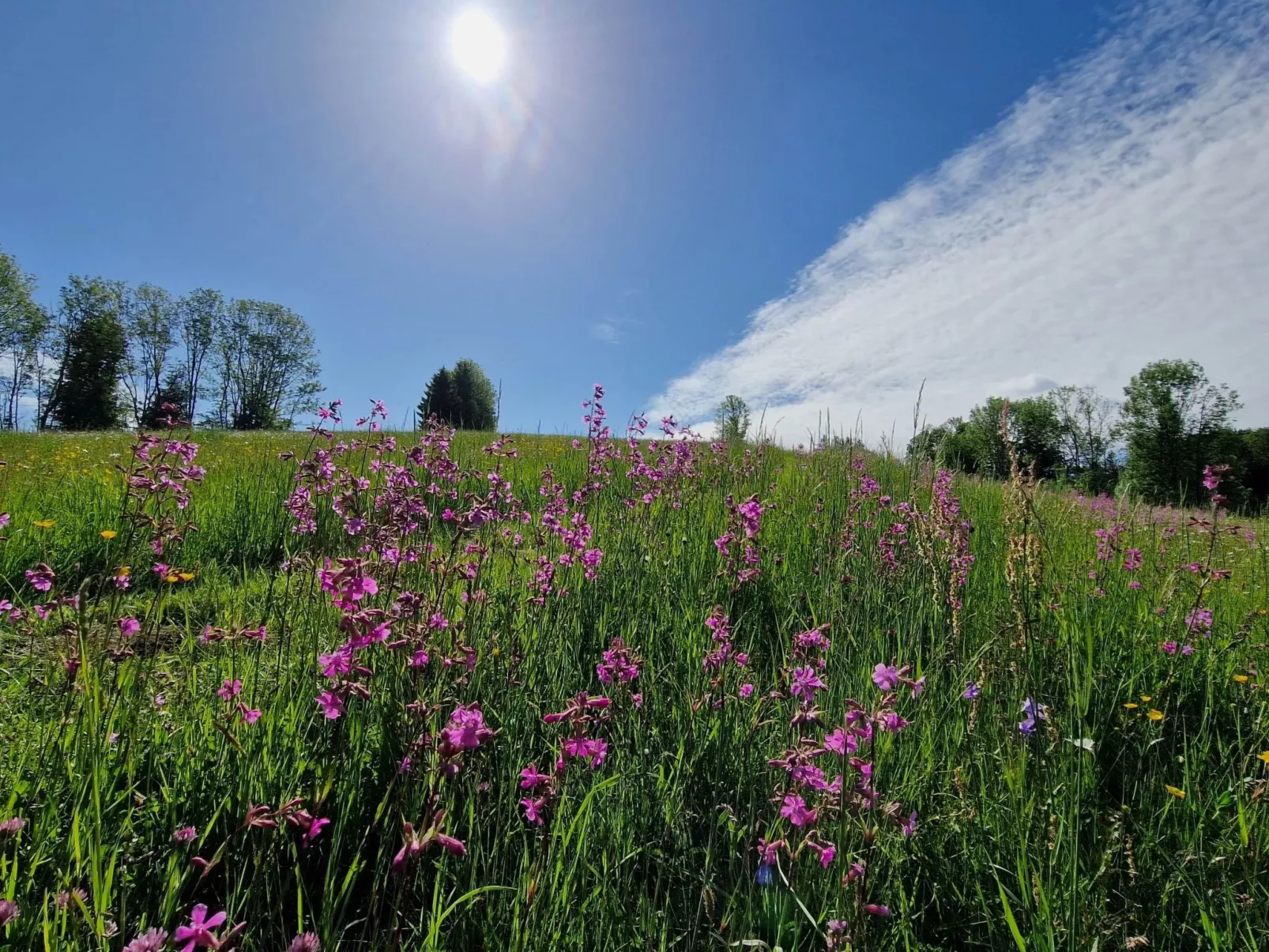  mit Terrasse und zwei Schlafzimmer-Buiten