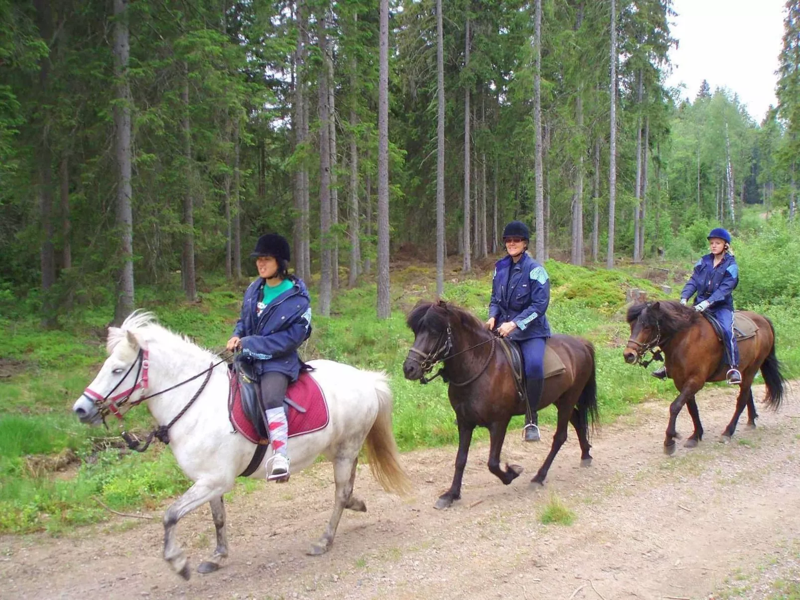 Paradisvilla-Image-tags.info