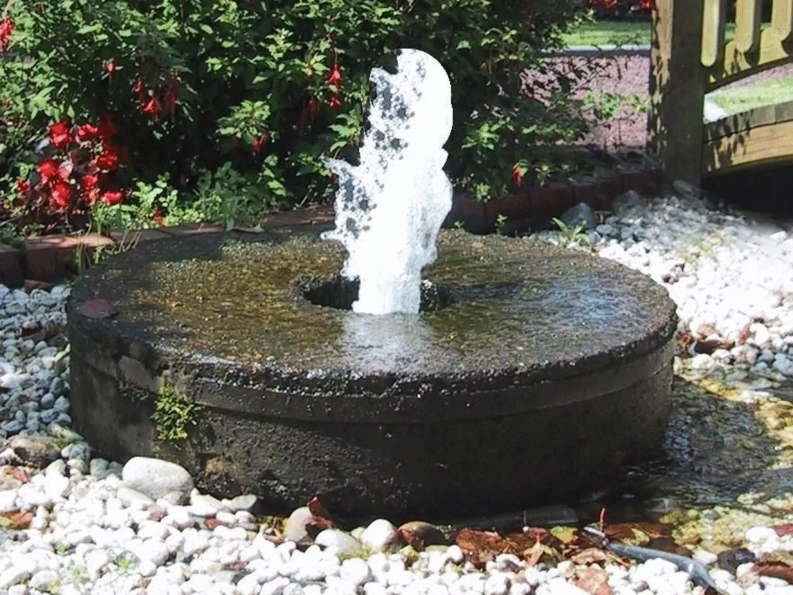 Borkum-Image-tags.info