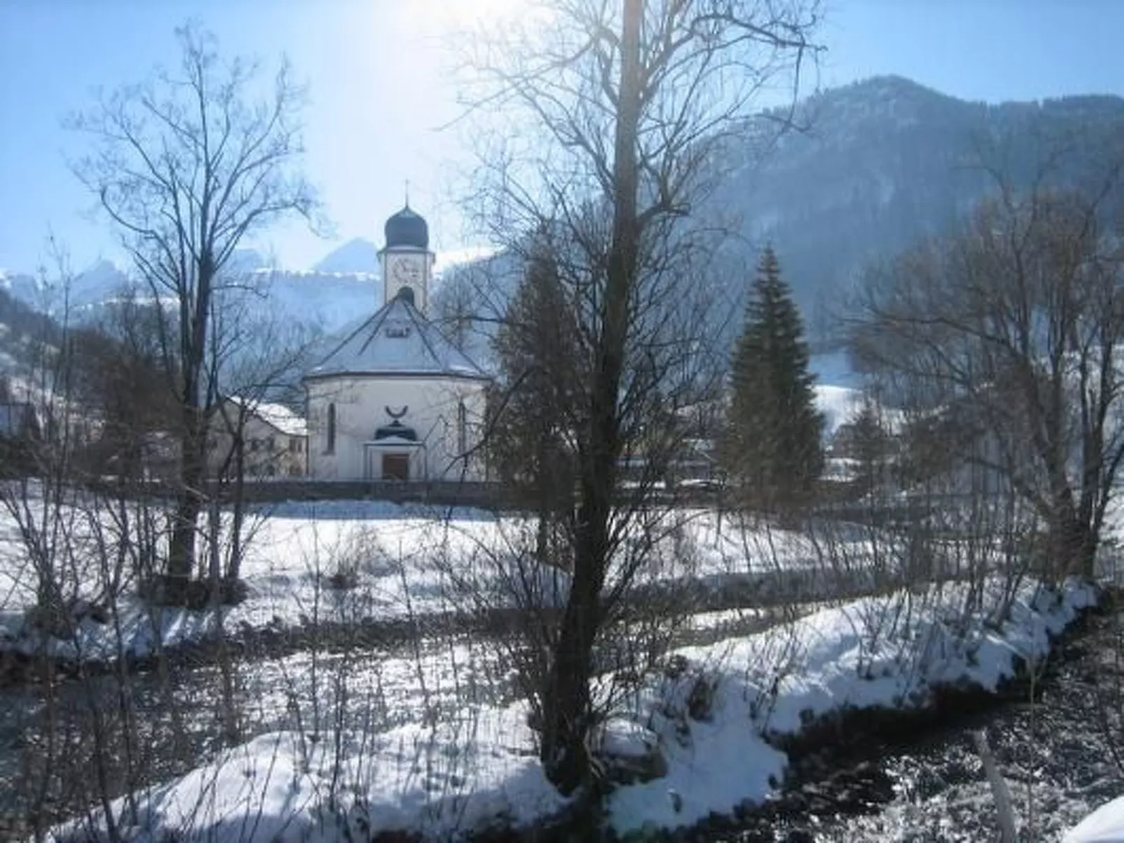 Wisli-Image-tags.info