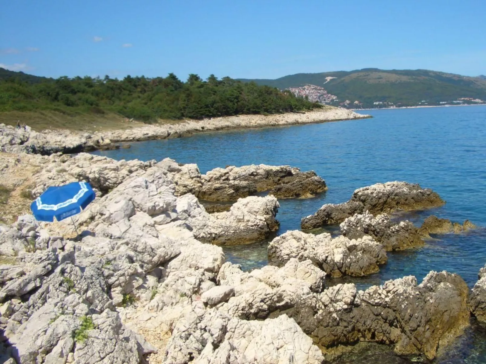 Paradiso-Image-tags.info