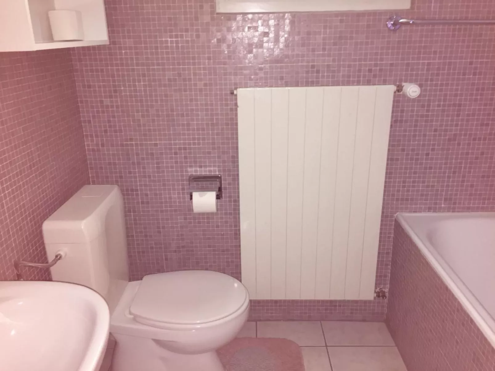 Mont-Fort 14A-Binnen