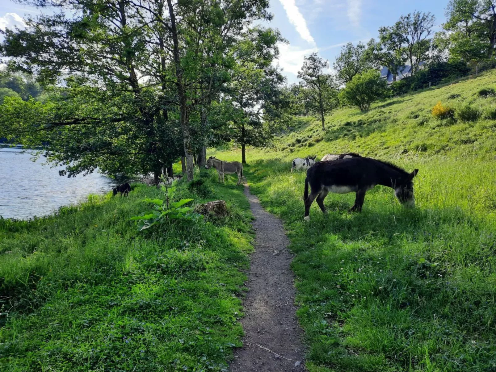 Kleiner Eifeltraum-Buiten