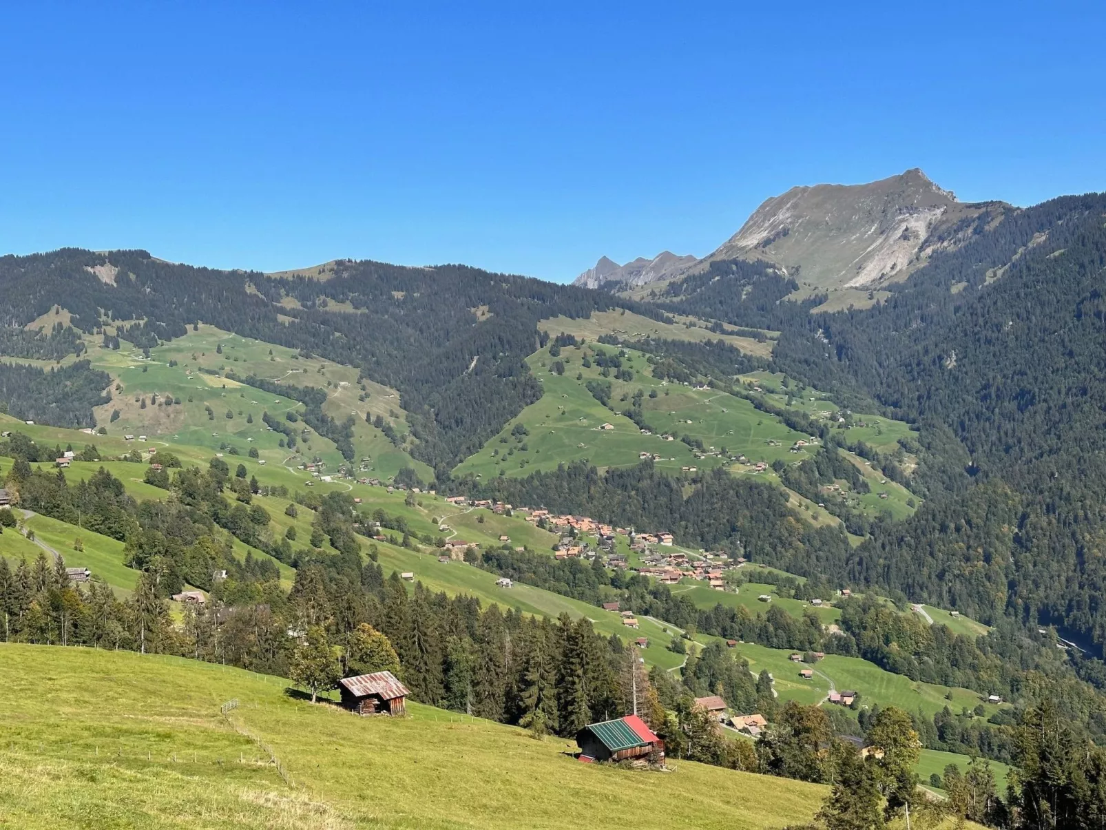 Wohnung Niesenblick-Buiten
