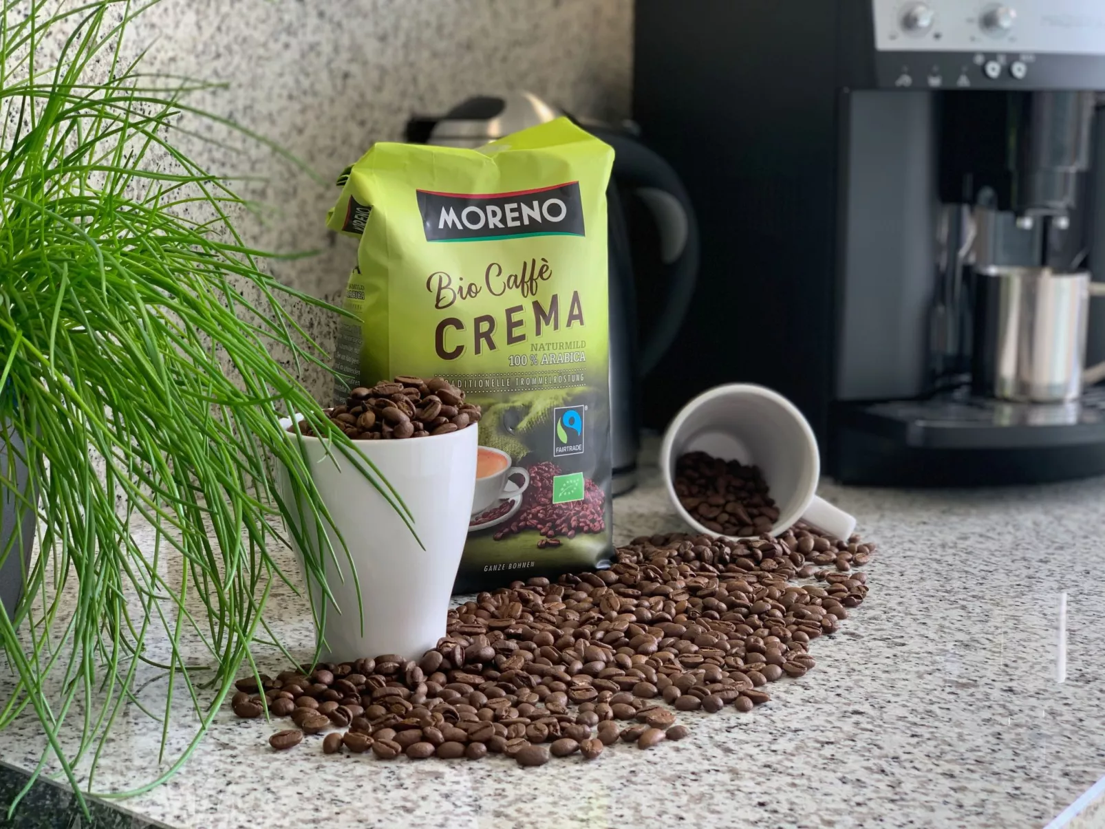 Ferienwohnung mit Infrarotwärmekabine-Image-tags.info