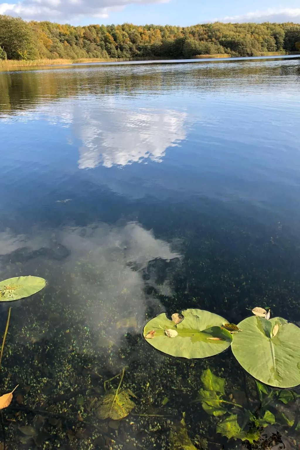 Schaalsee - Auszeit-Buiten