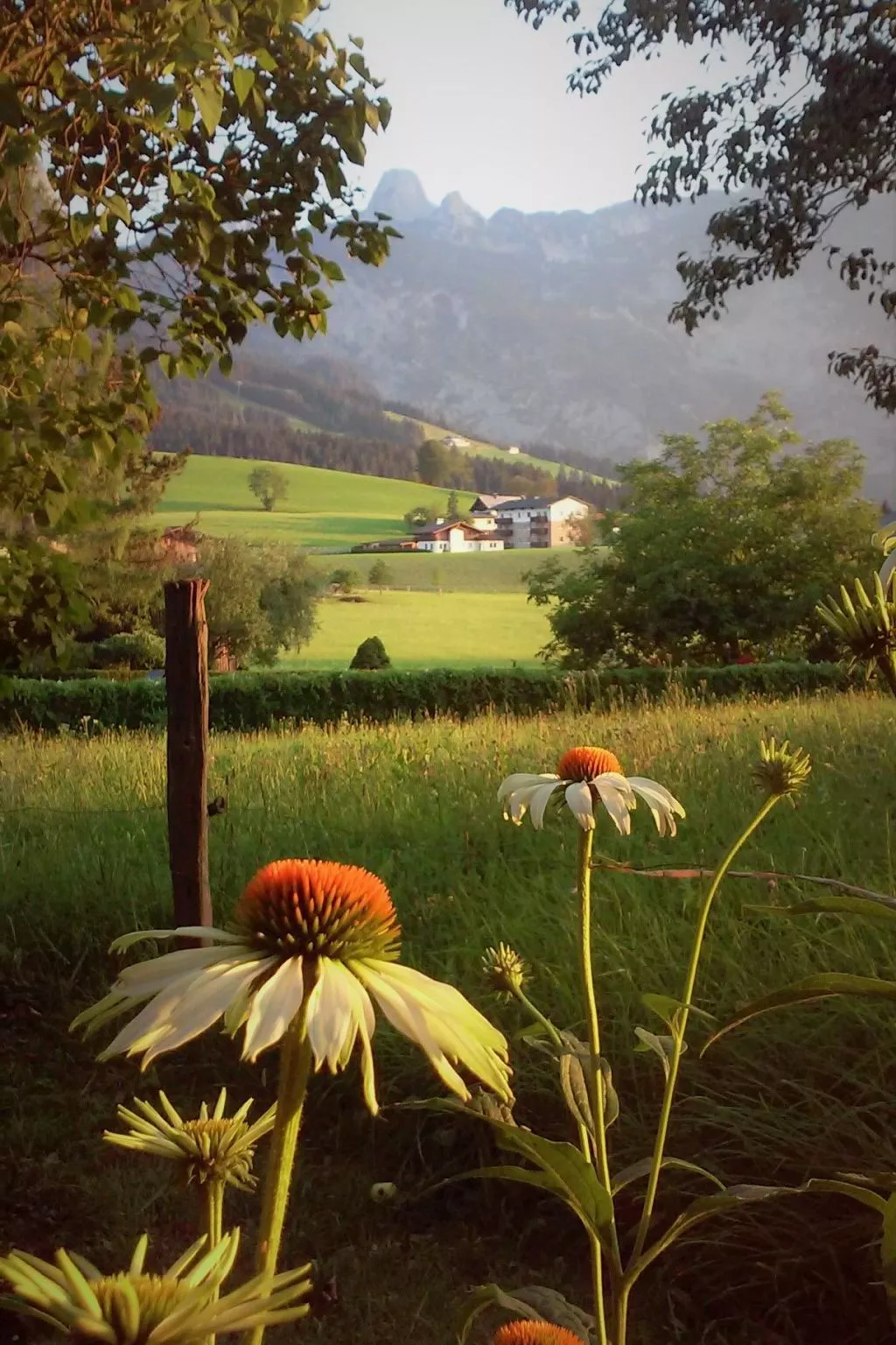 Gsenger Natur in Abtenau-Buiten