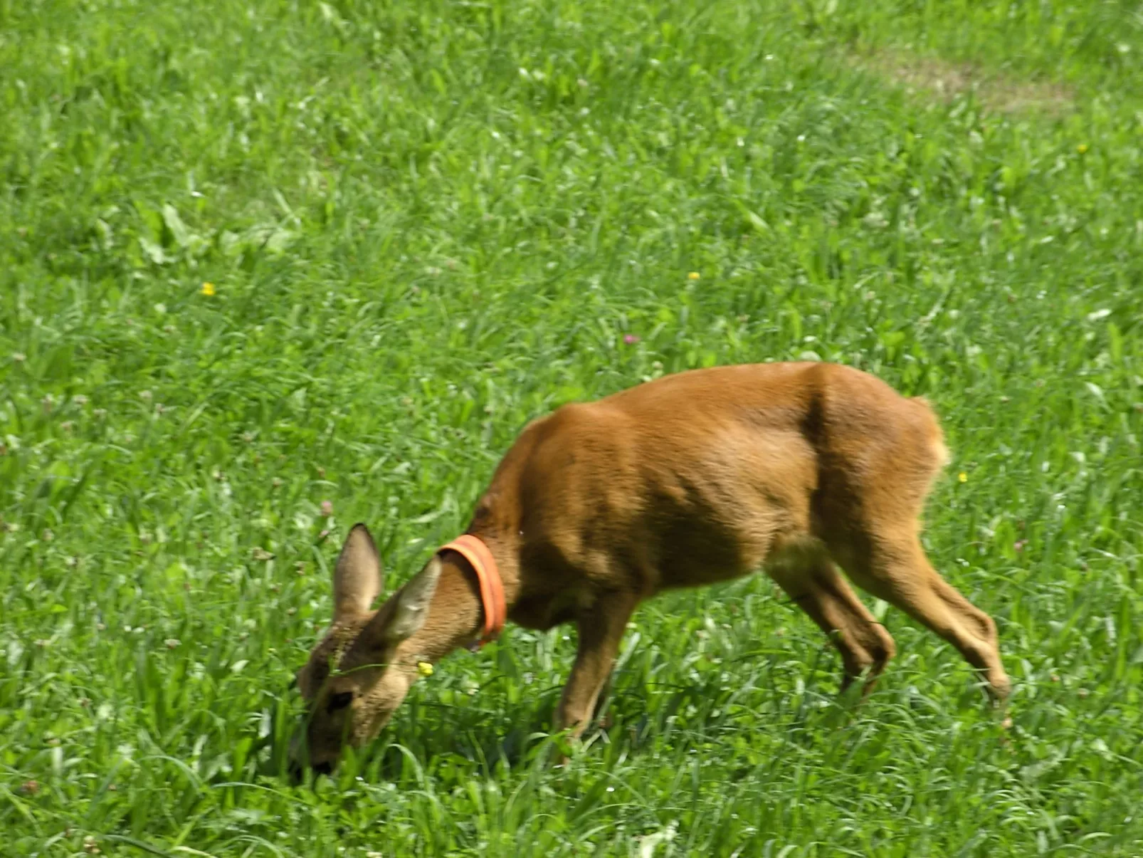 Herbst in Abtenau-Image-tags.info