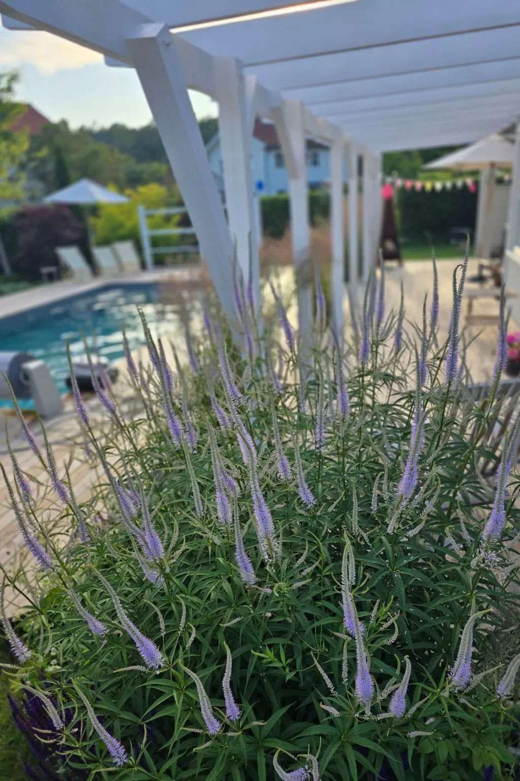 Villa Kungsstrand in Trosa-Buiten