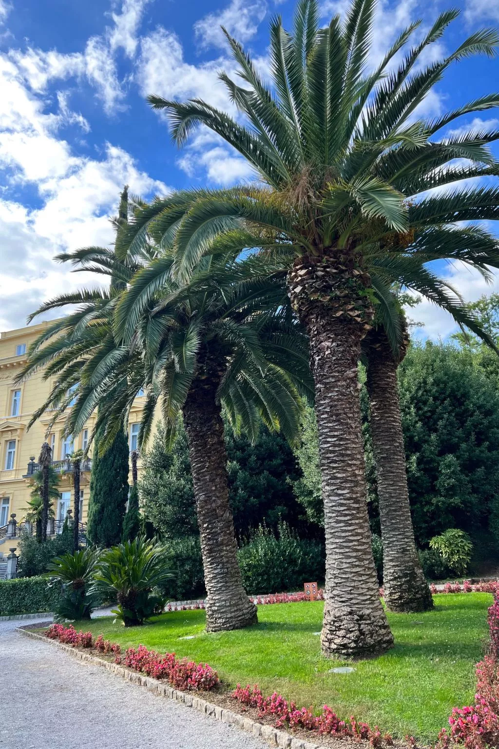 Appartement mit Terrasse-Buiten