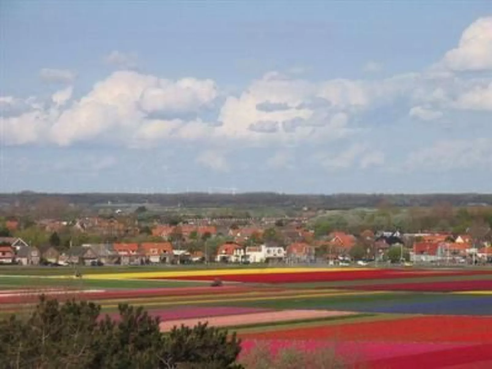Ferienvilla mit Garten, Grill und Terrasse-Buiten