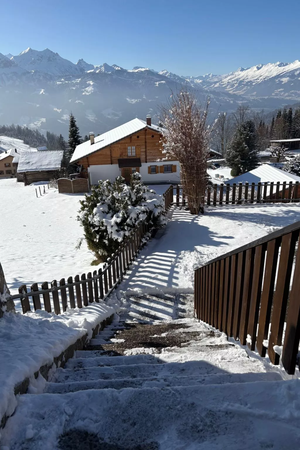 Chalet Friedheim-Buiten