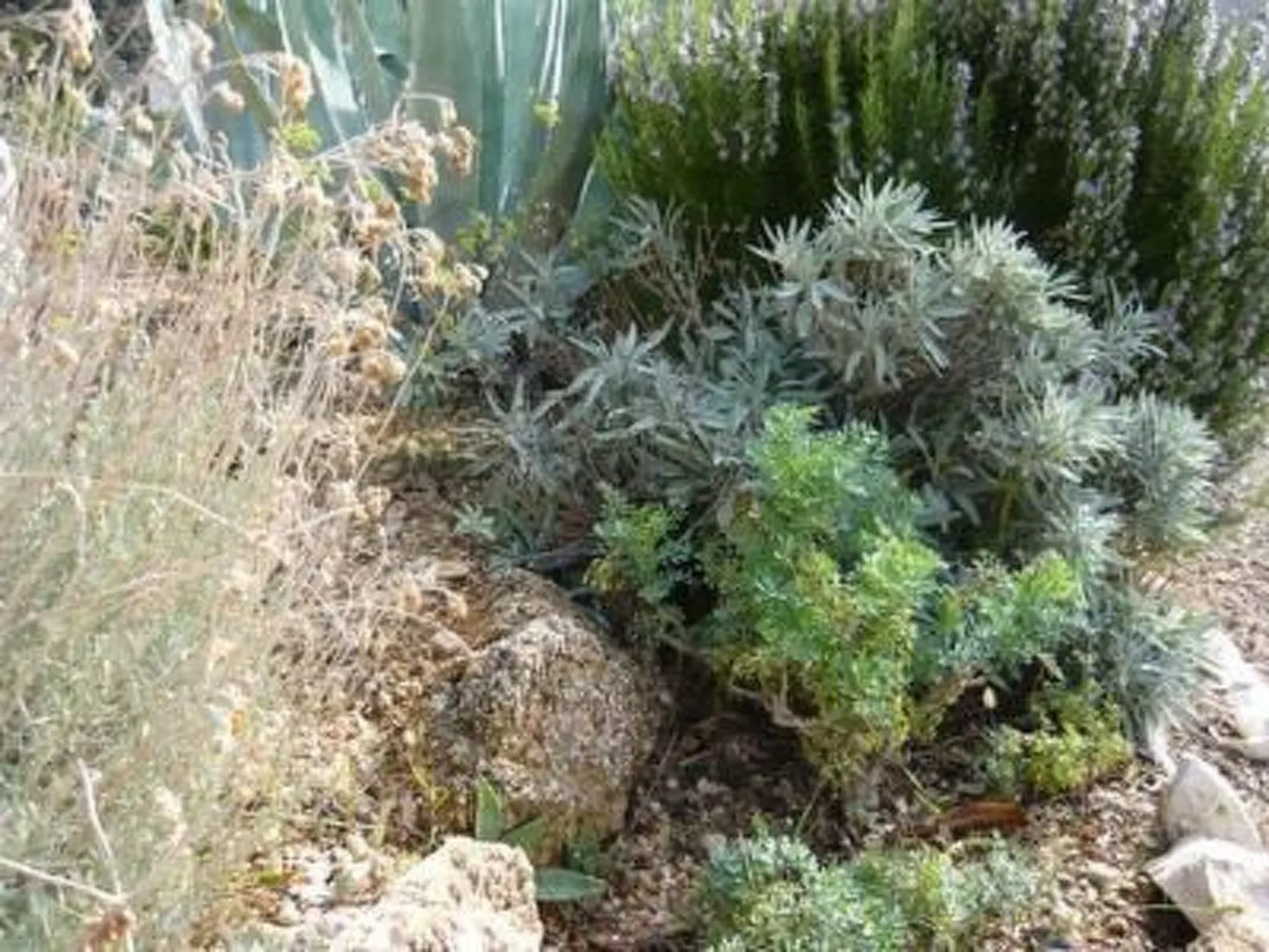 Jadro Apartments in Barbat mit Grill und Whirlpool-Buiten