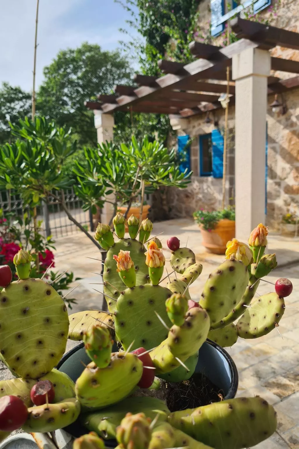 Altes Steinhaus Goranova Kuca-Buiten