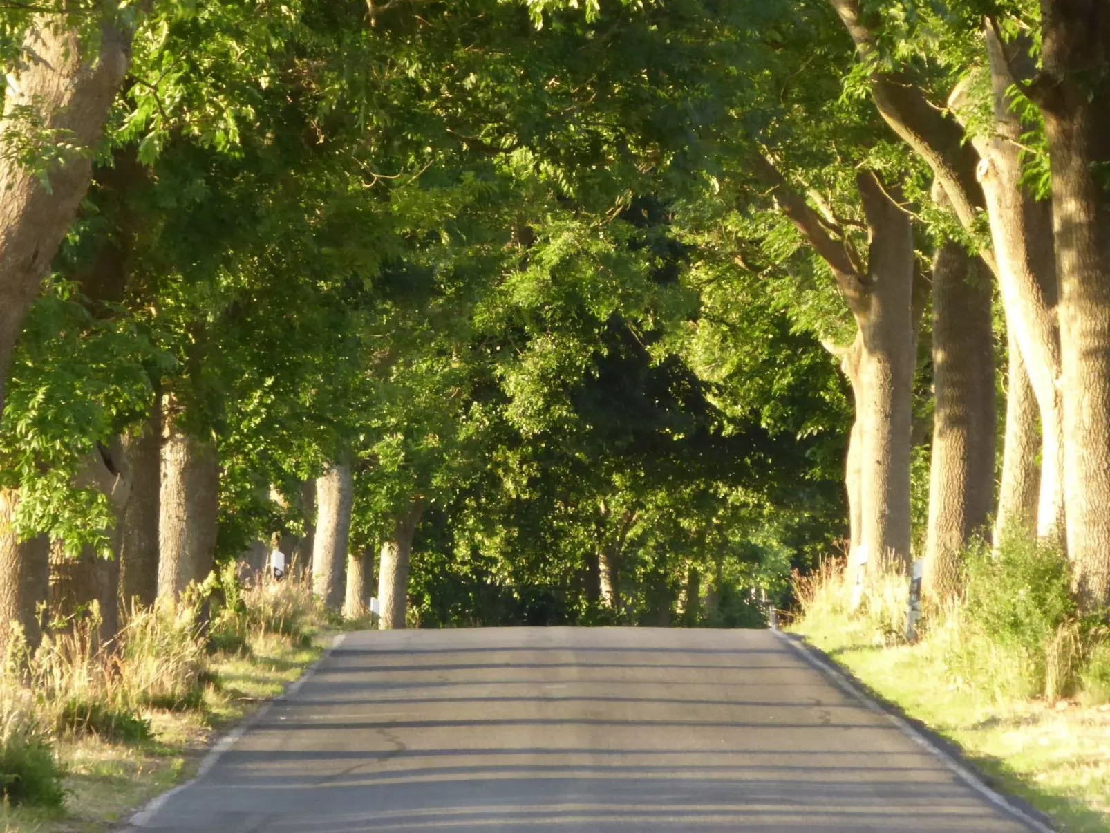 Hochwertige Ferienwohnung in Gingst-Buiten