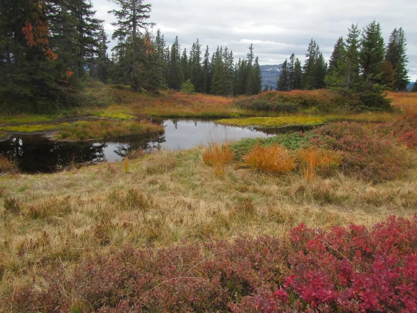 Mit Hallenbad-Buiten