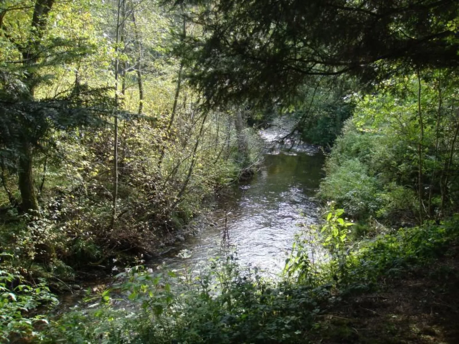 Altes Forsthaus-Buiten