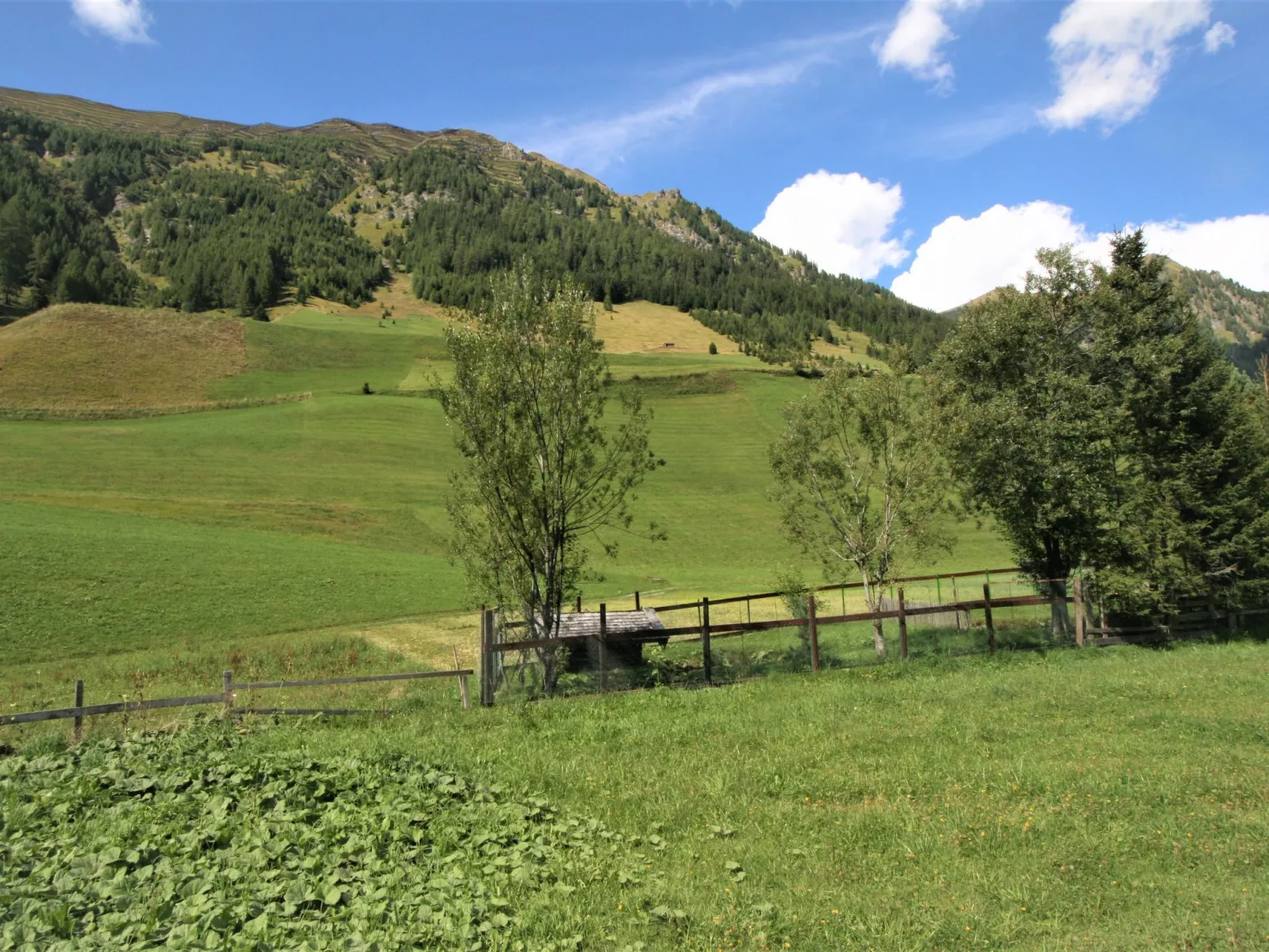 Mit Schwedenofen und großer Terrasse-Omgeving