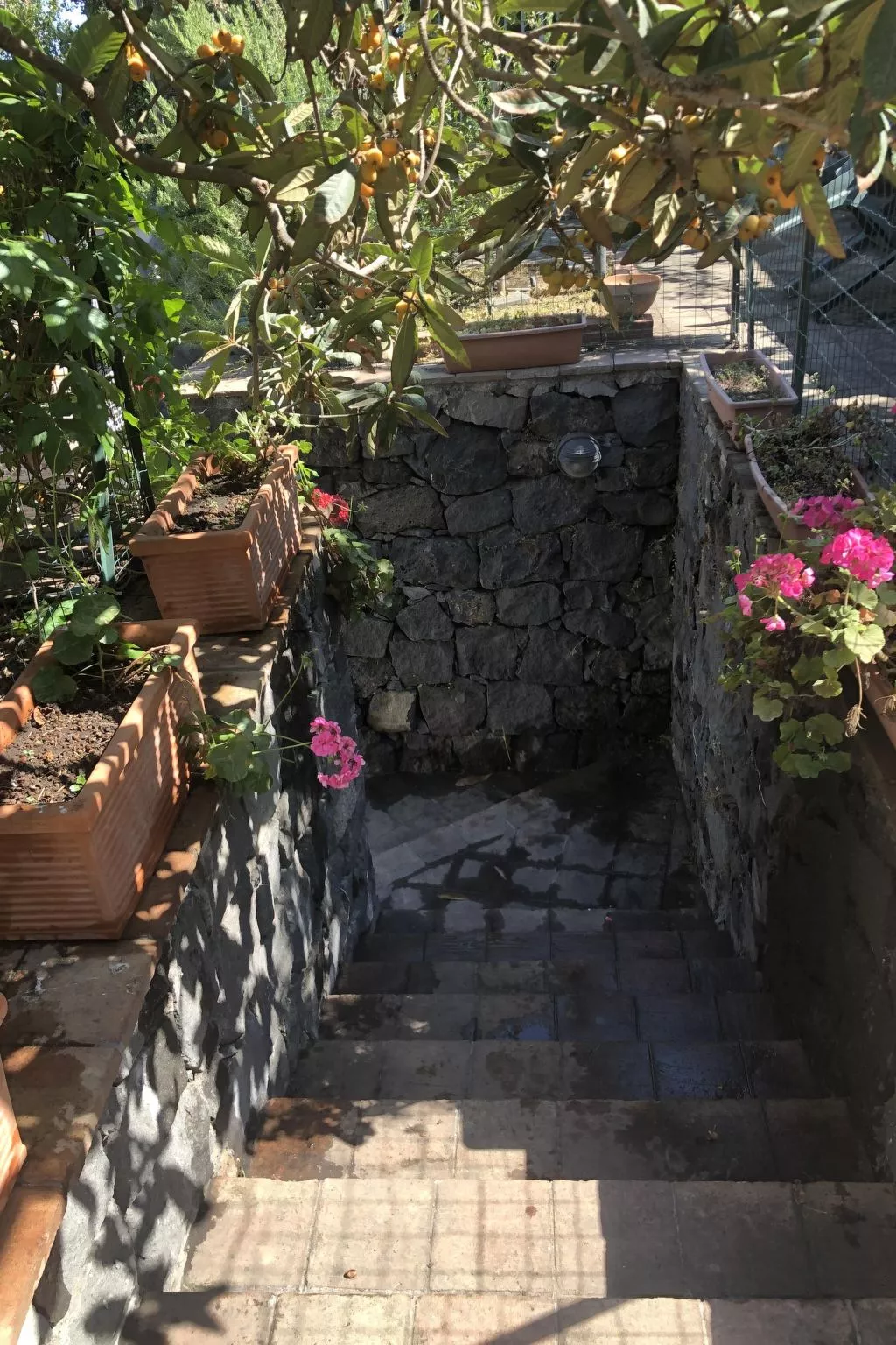 Villa mit Wasserblick-Image-tags.info