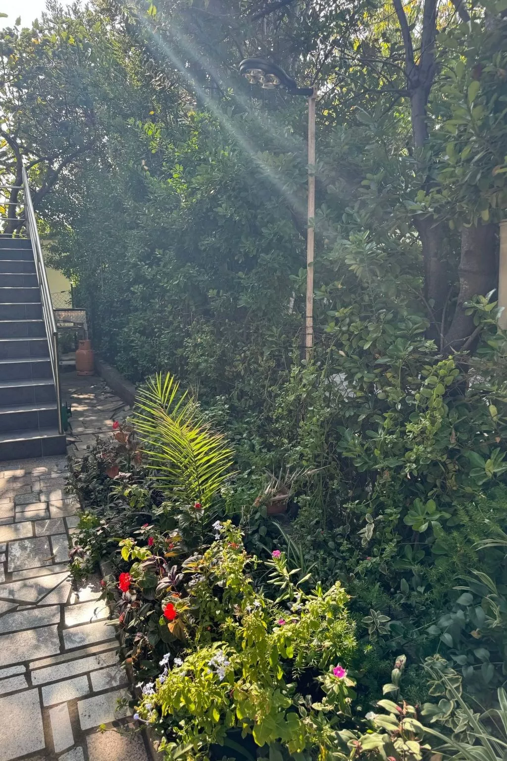 Appartement Ruzica in Strandnähe- von der Agentur TA Leut-Image-tags.info