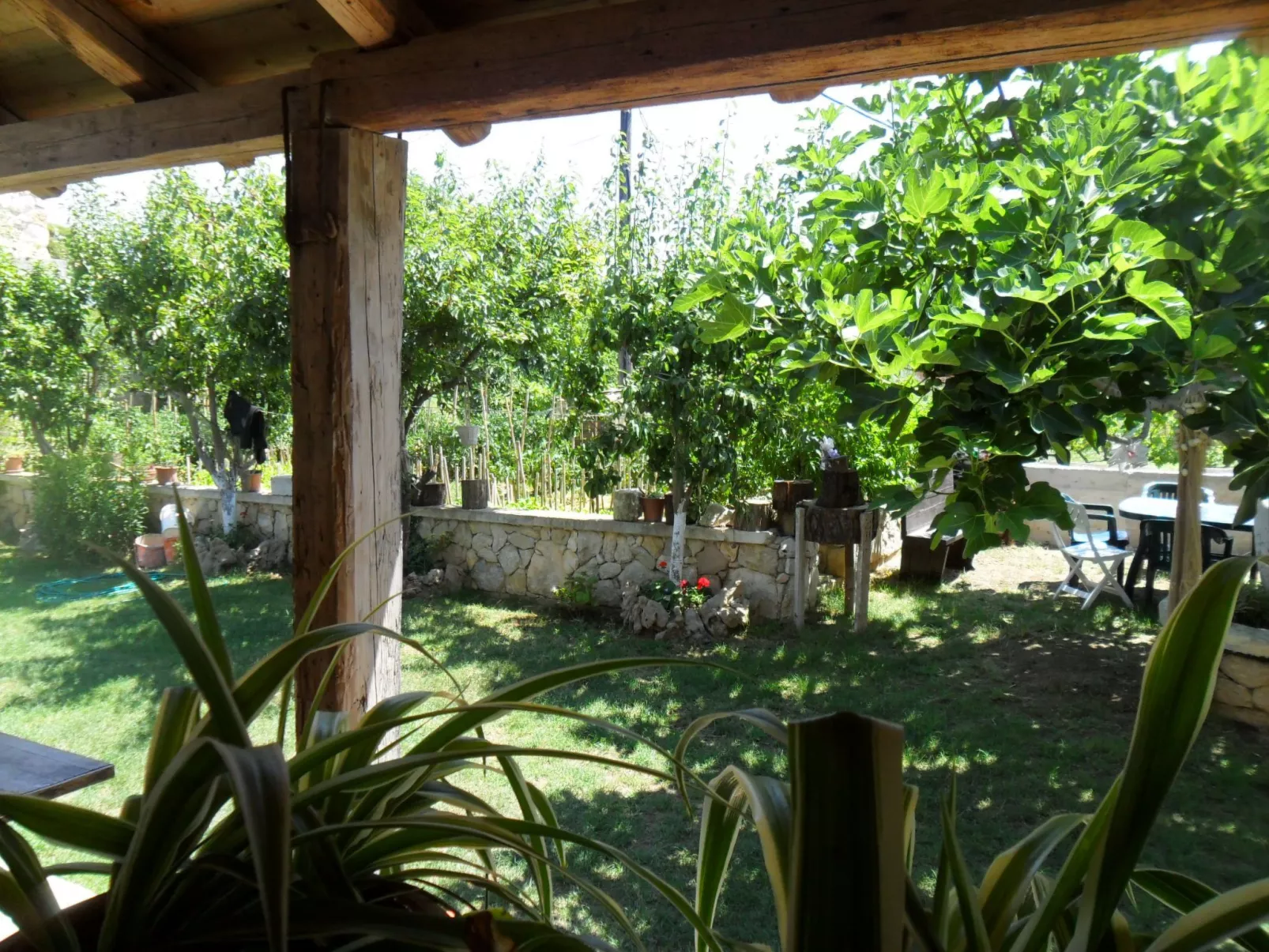 Wohnung Delfin mit Meerblick - TA Leut Agency-Buiten