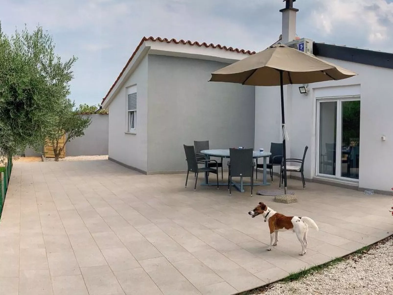 Medulinka-Image-tags.info