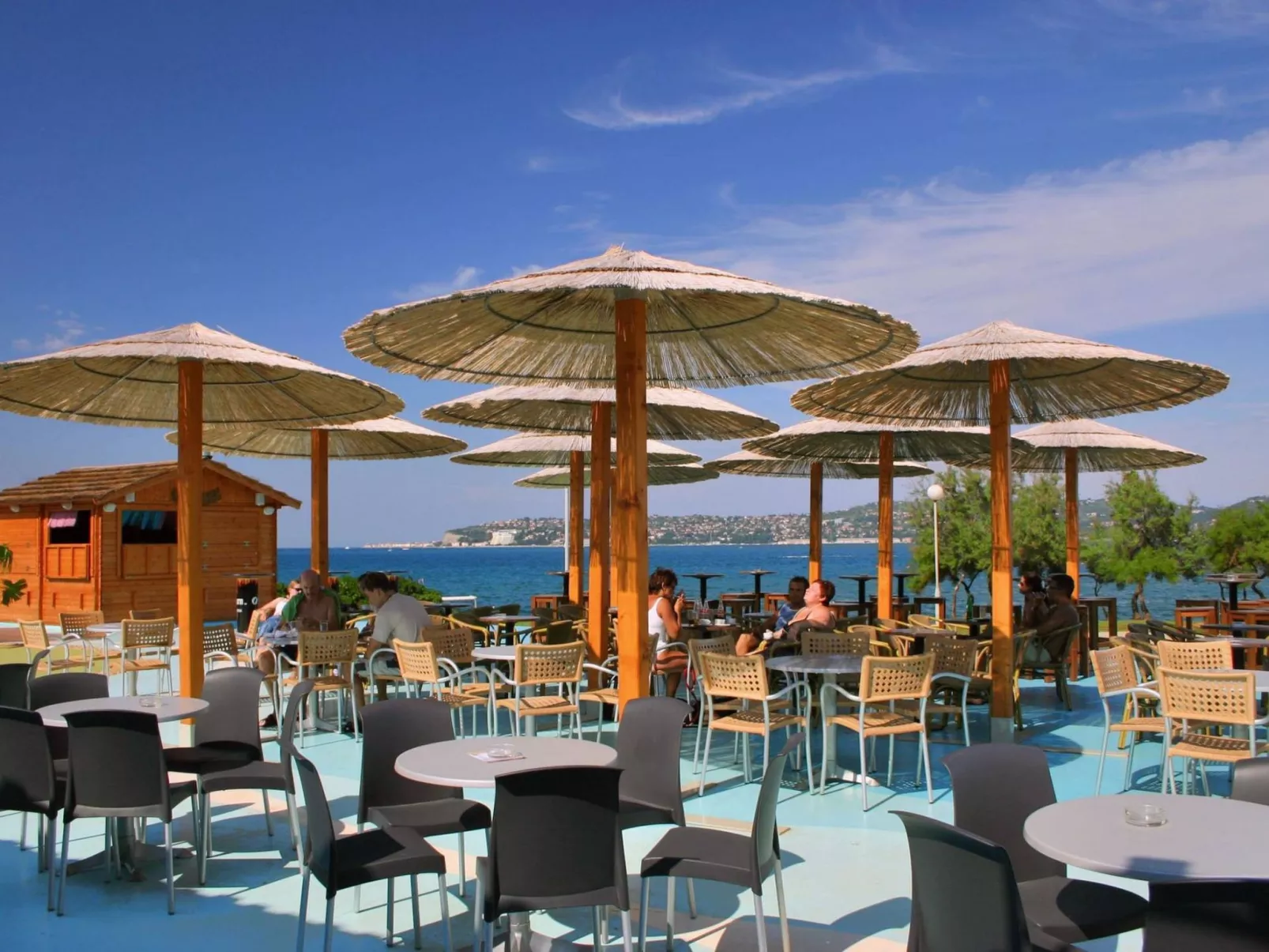 ALBINA STUDIO 5 - Image-tags.info