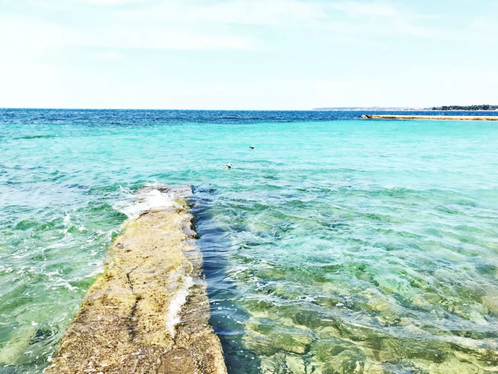 Apartment Nika 3 Umag mit Pool und Whirlpool 400 Meter vom Strand entfernt-Buiten