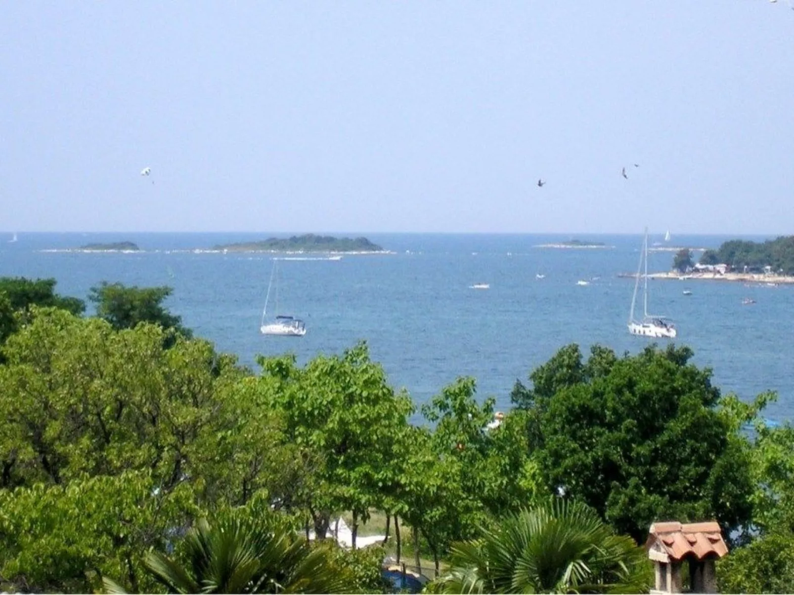 App Coki 4.-Image-tags.info