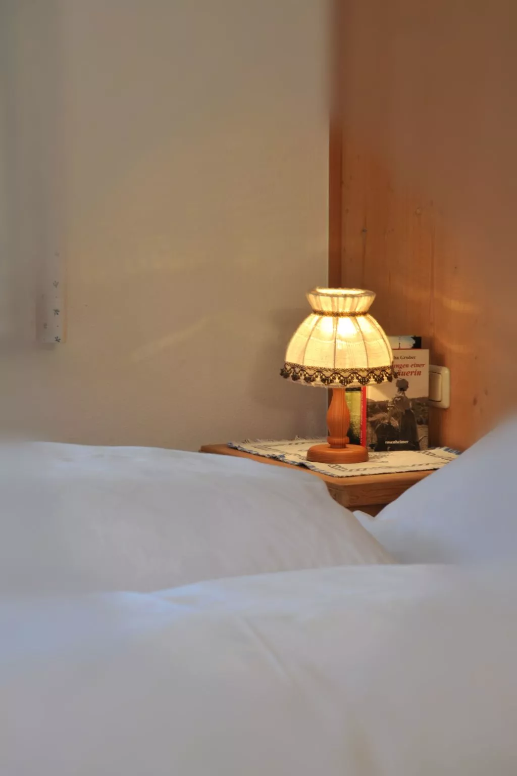 Komfortable Ferienwohnung mit herrlichem Bergblick-Binnen