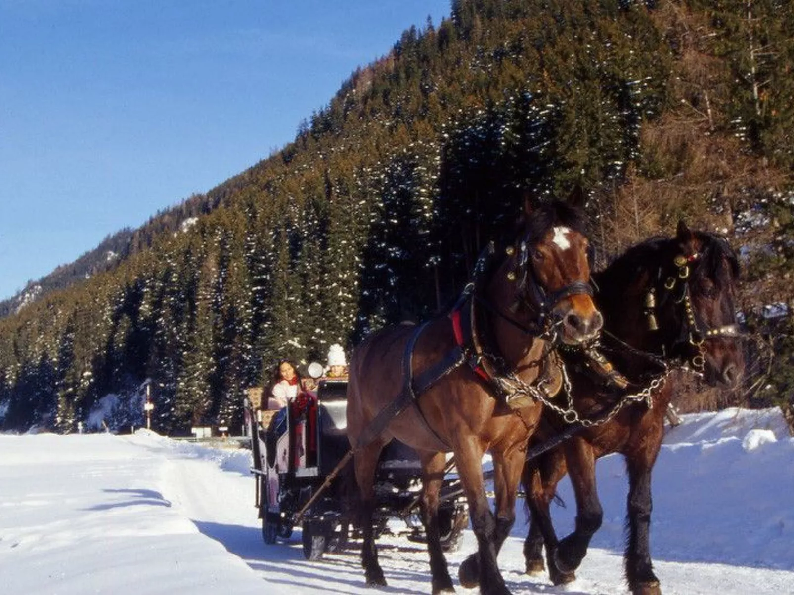 Appartement Gartenblick-Buiten