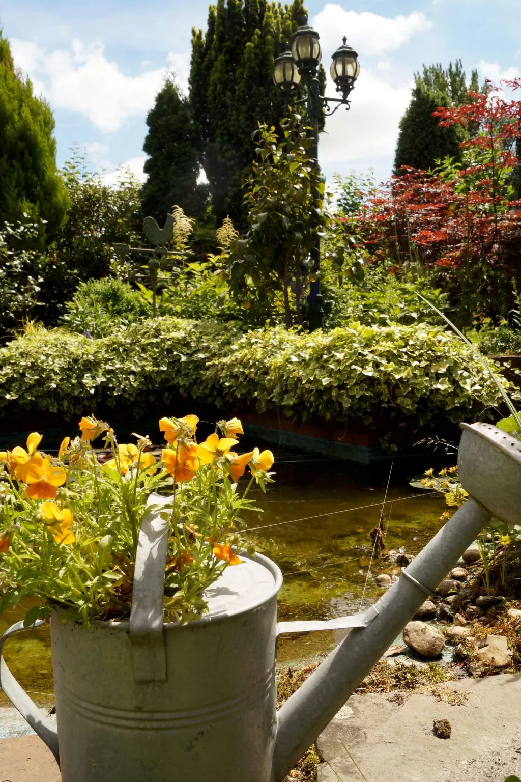  in Marienhafe-Buiten