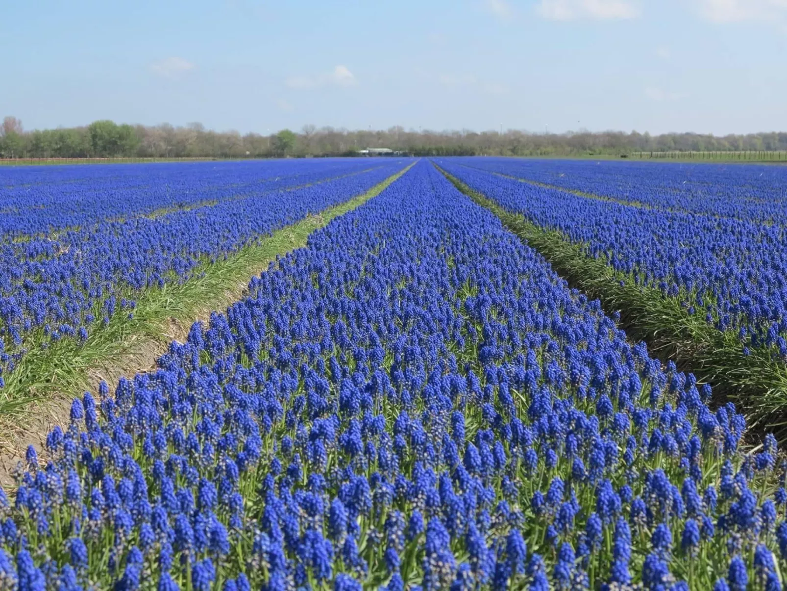 "Windhoos" mit privatem Garten und Terrasse-Image-tags.info
