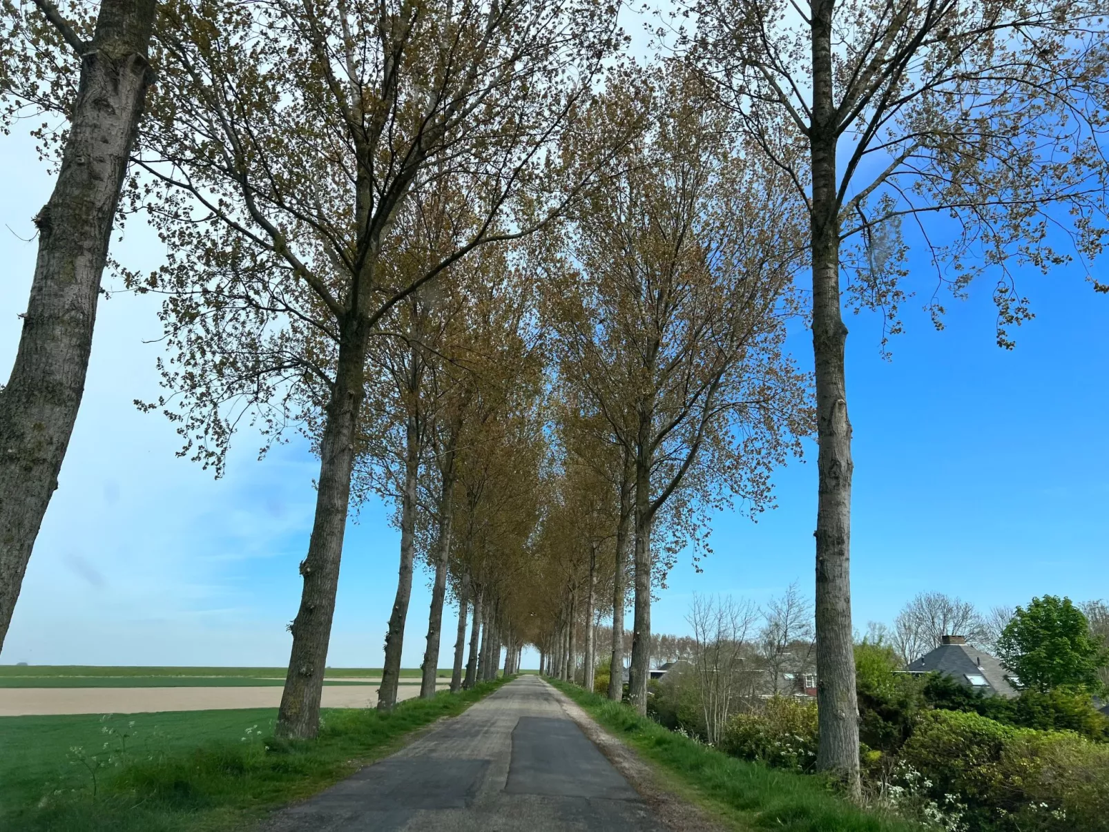 In Stavenisse mit gemütlicher Terrasse-Buiten