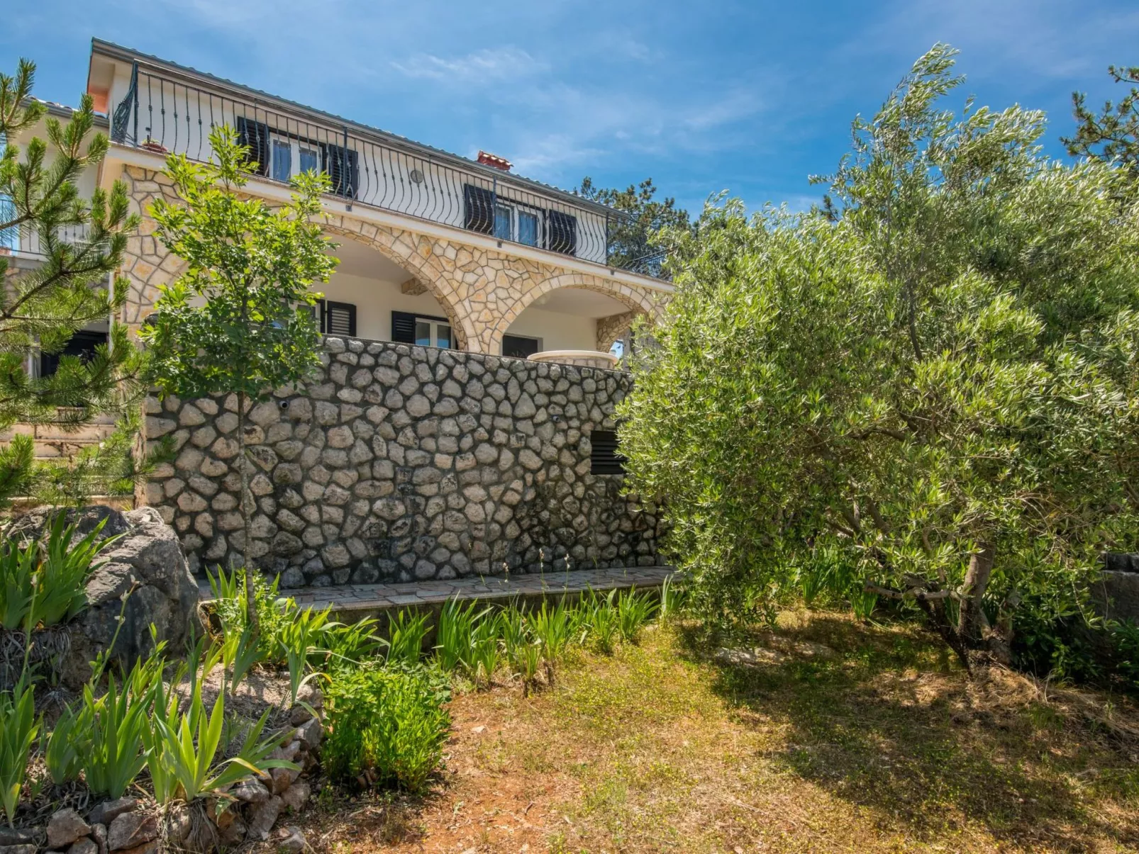 Biserka-Image-tags.info