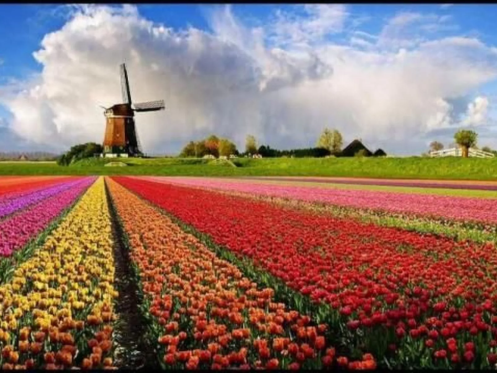 Gemütlicher Bungalow für 4 Personen-Buiten