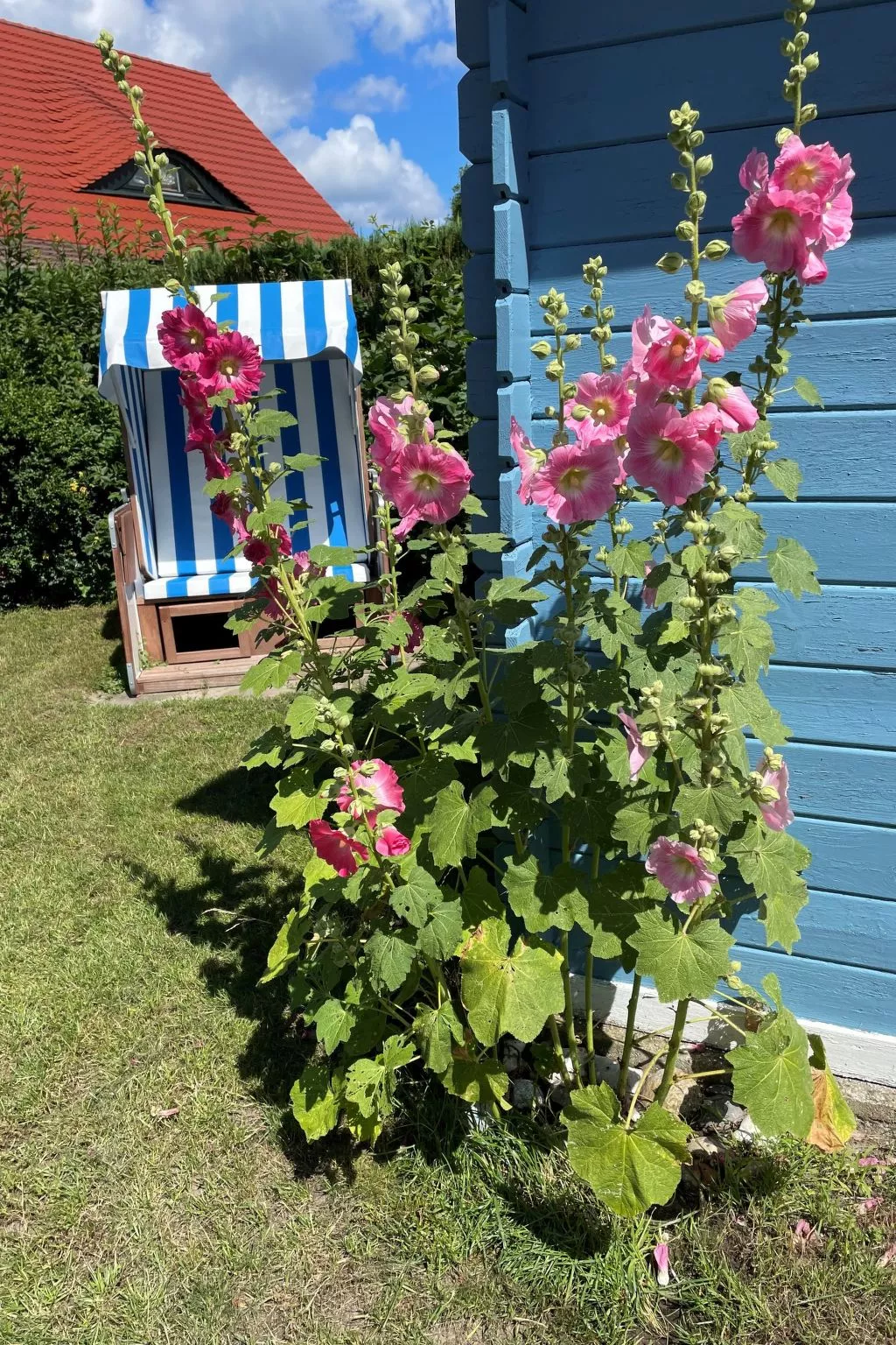 Haus am Meer 3-Buiten