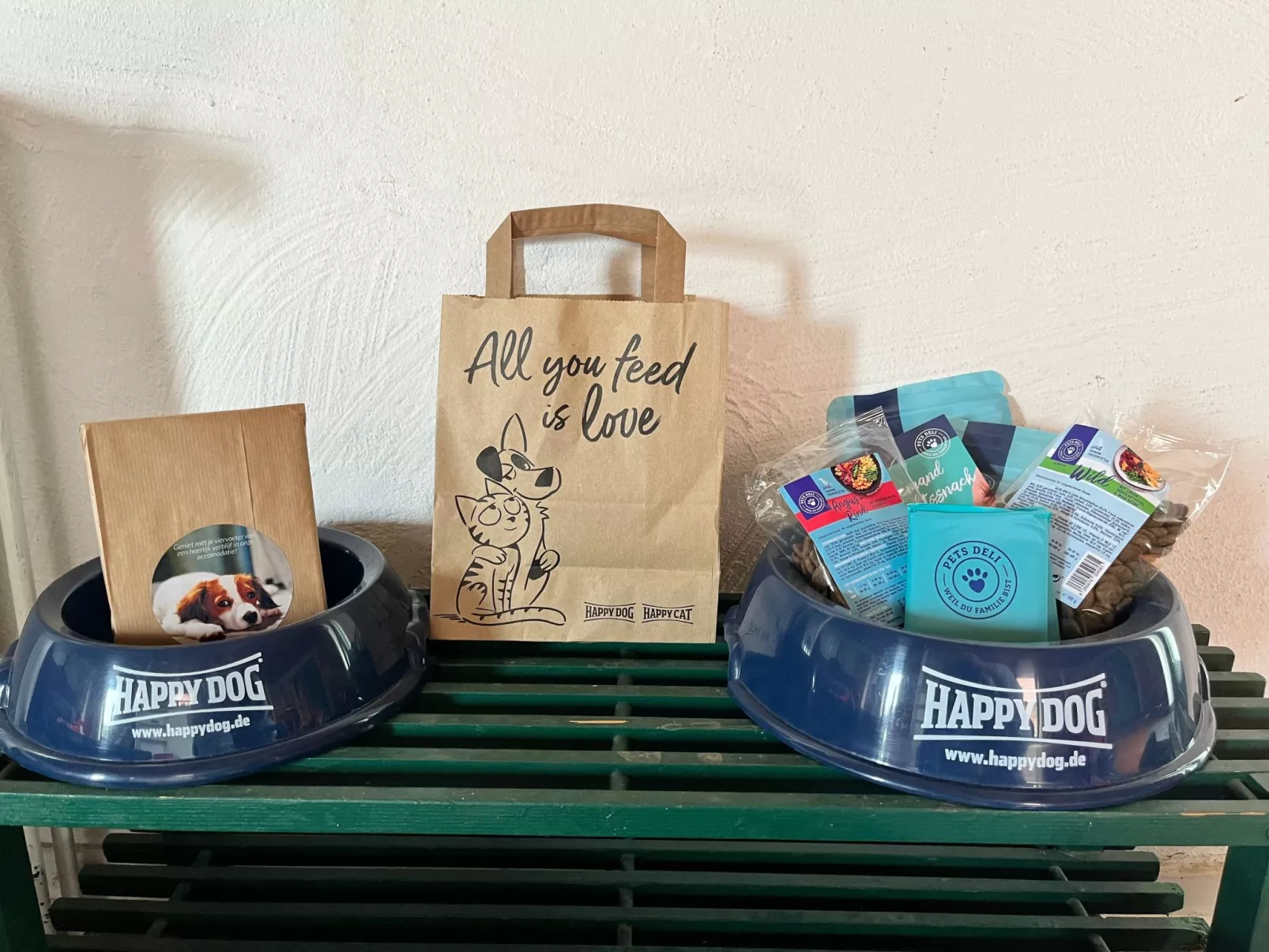 Gans in Ummanz-Lüßvitz-Buiten