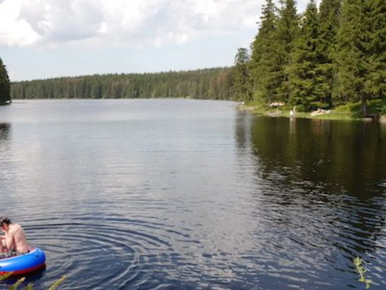 Fewo Harzblick-Buiten