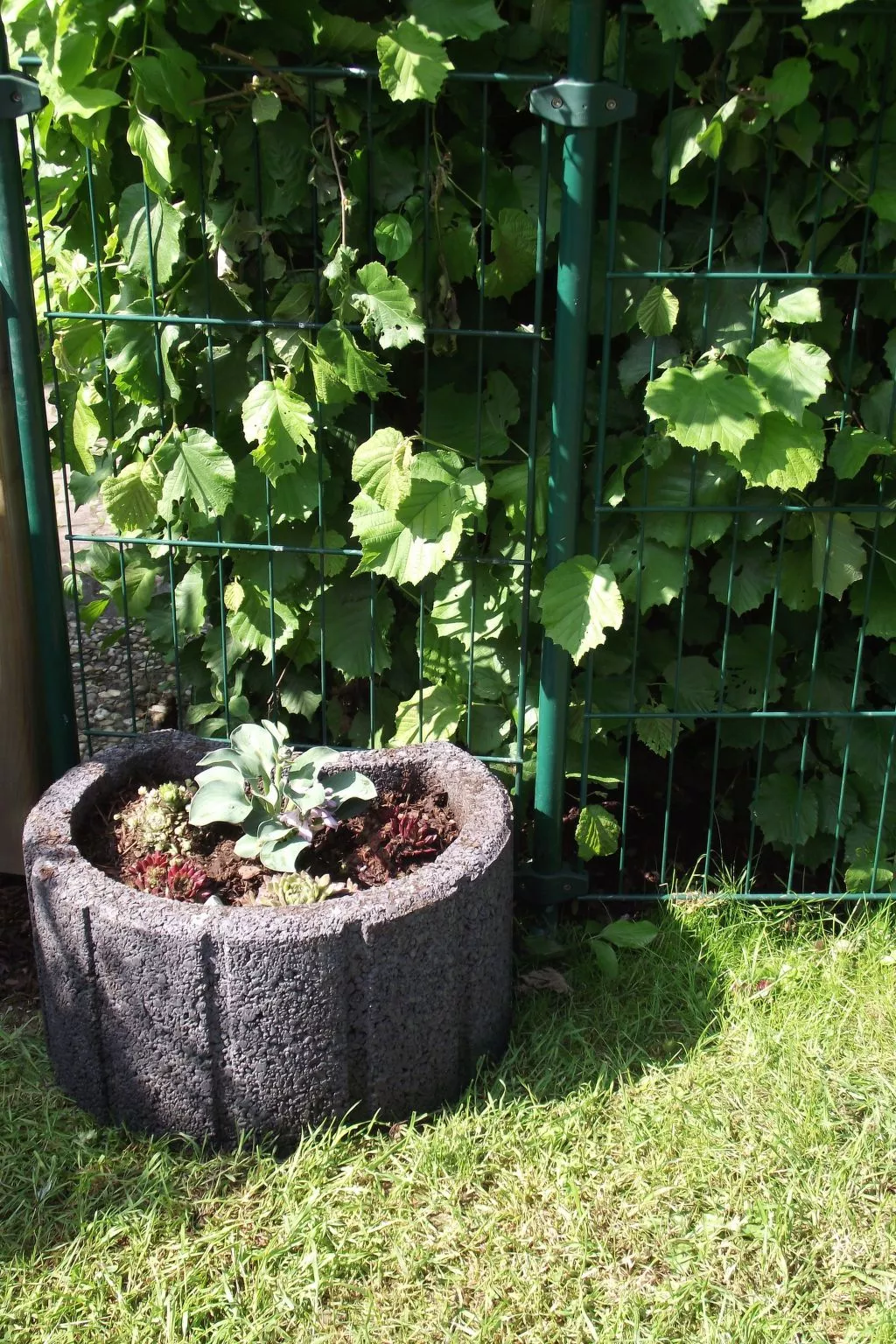 Waldhäuschen Zandt-Buiten