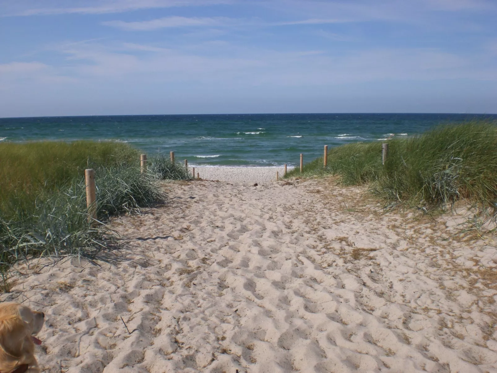 Appartement Achtern-Diek-am-Strand in Zingst-Buiten