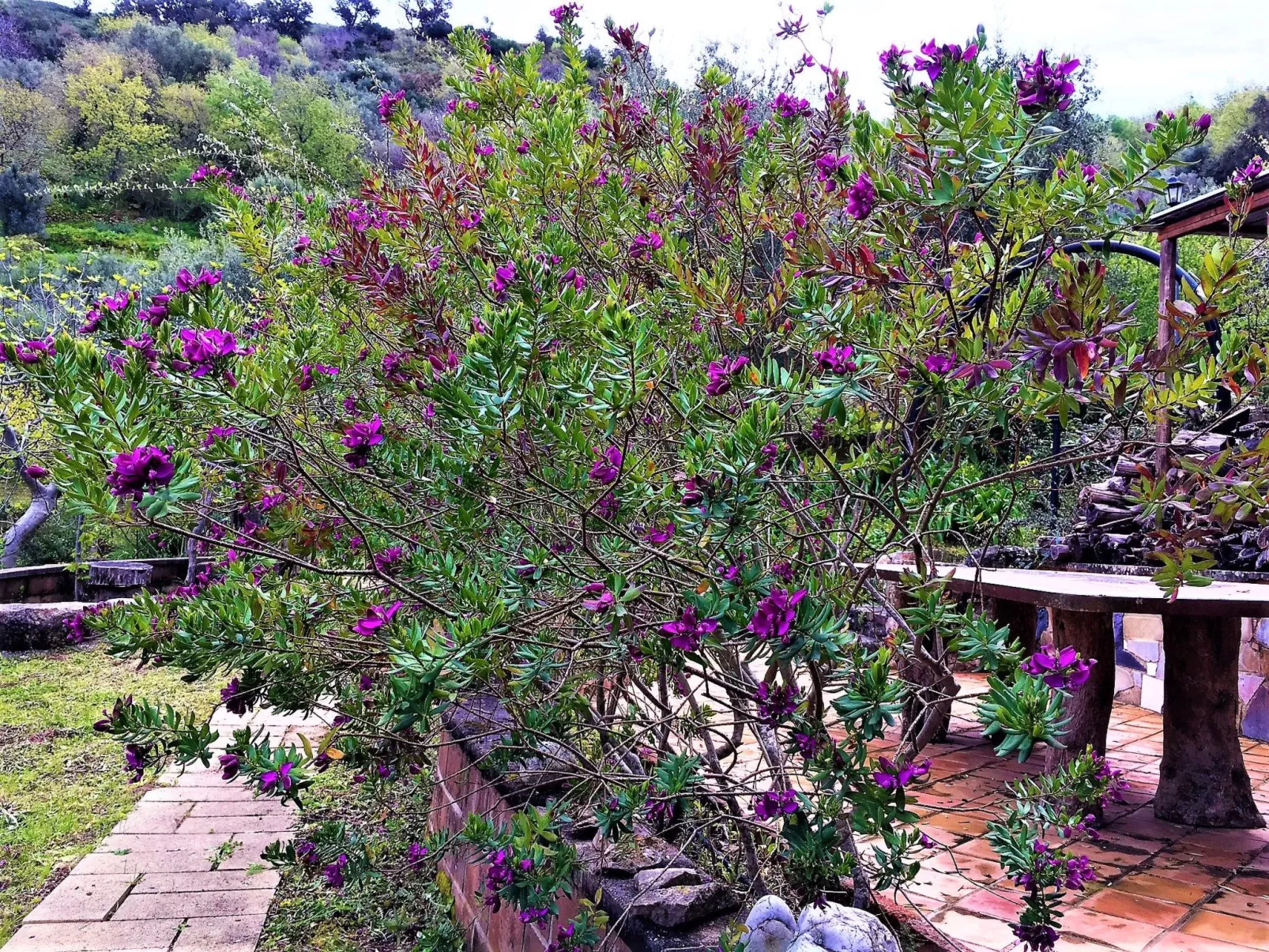 Orange Wohnung-Image-tags.info