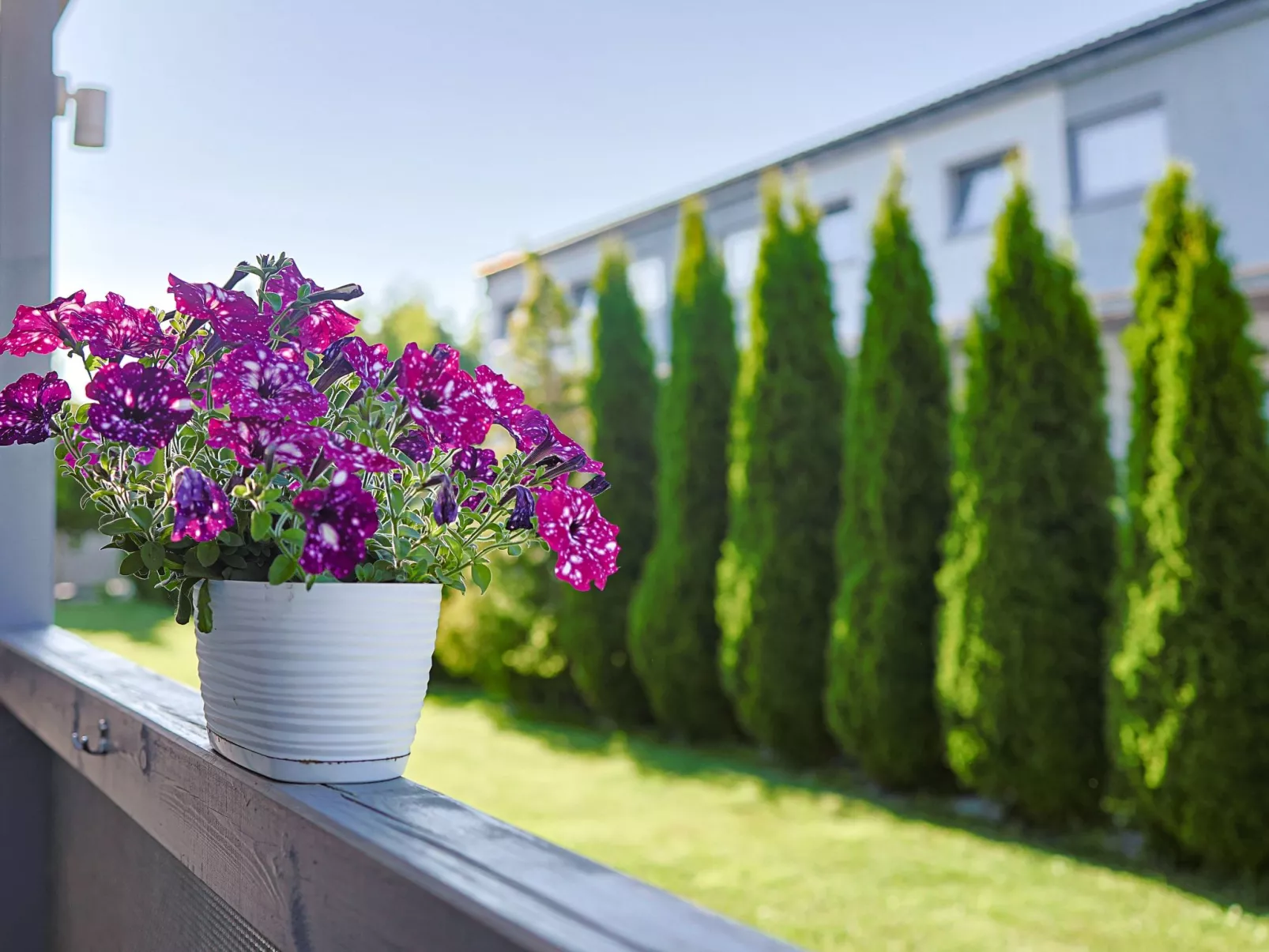 "Aurora 3" mit Terrasse-Buiten