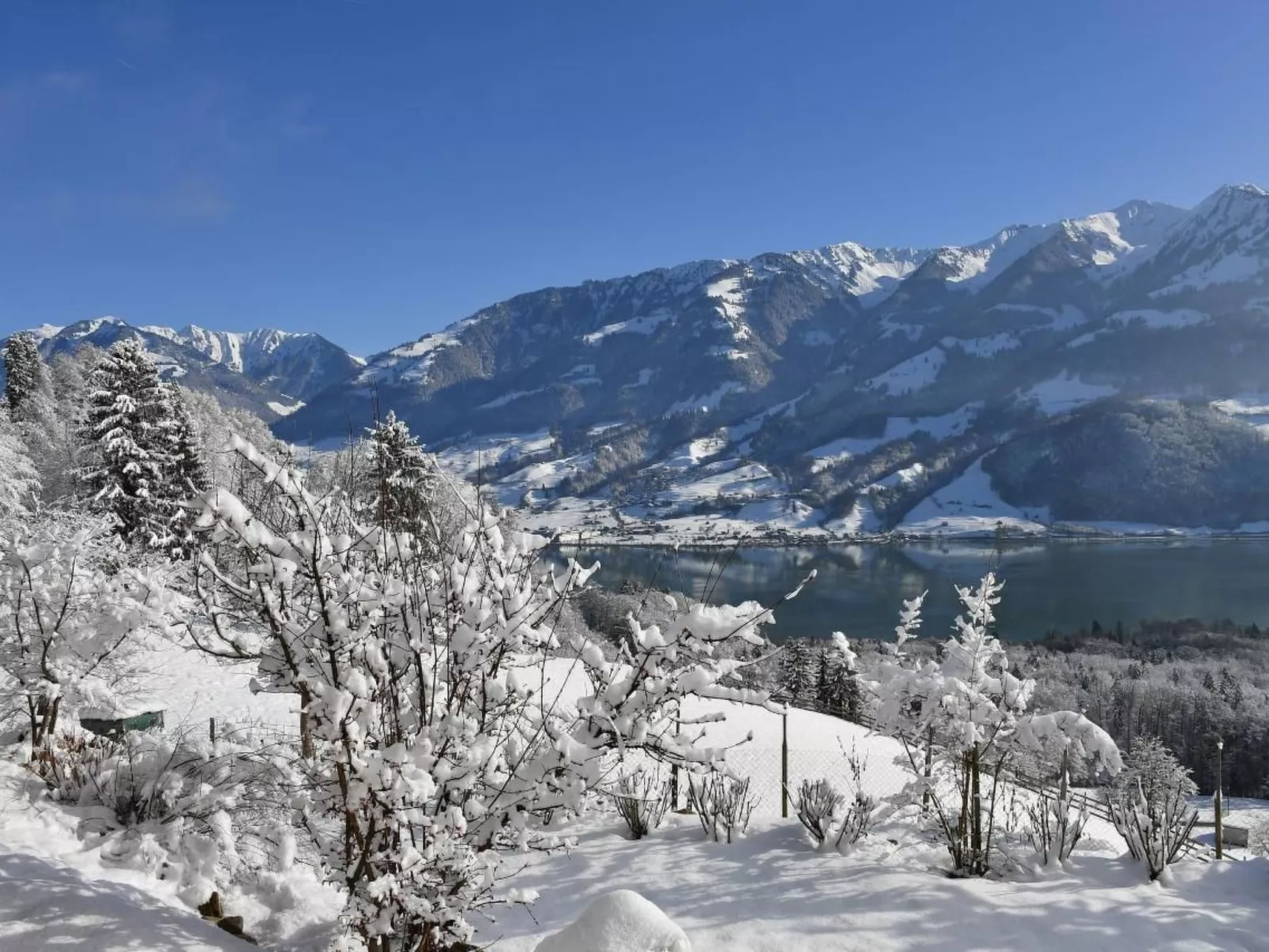 Holzhaus auf Lamahof-Buiten